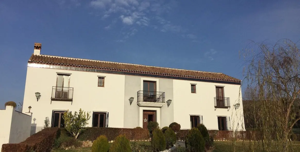 Продажа коммерческого помещения в Ronda 28