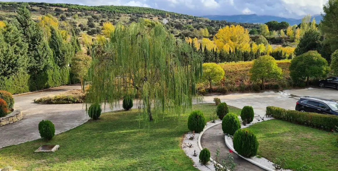 Продажа коммерческого помещения в Ronda 32