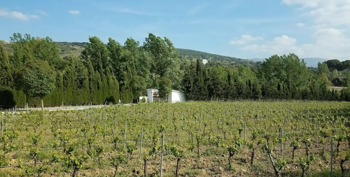 Продажа коммерческого помещения в Ronda 41