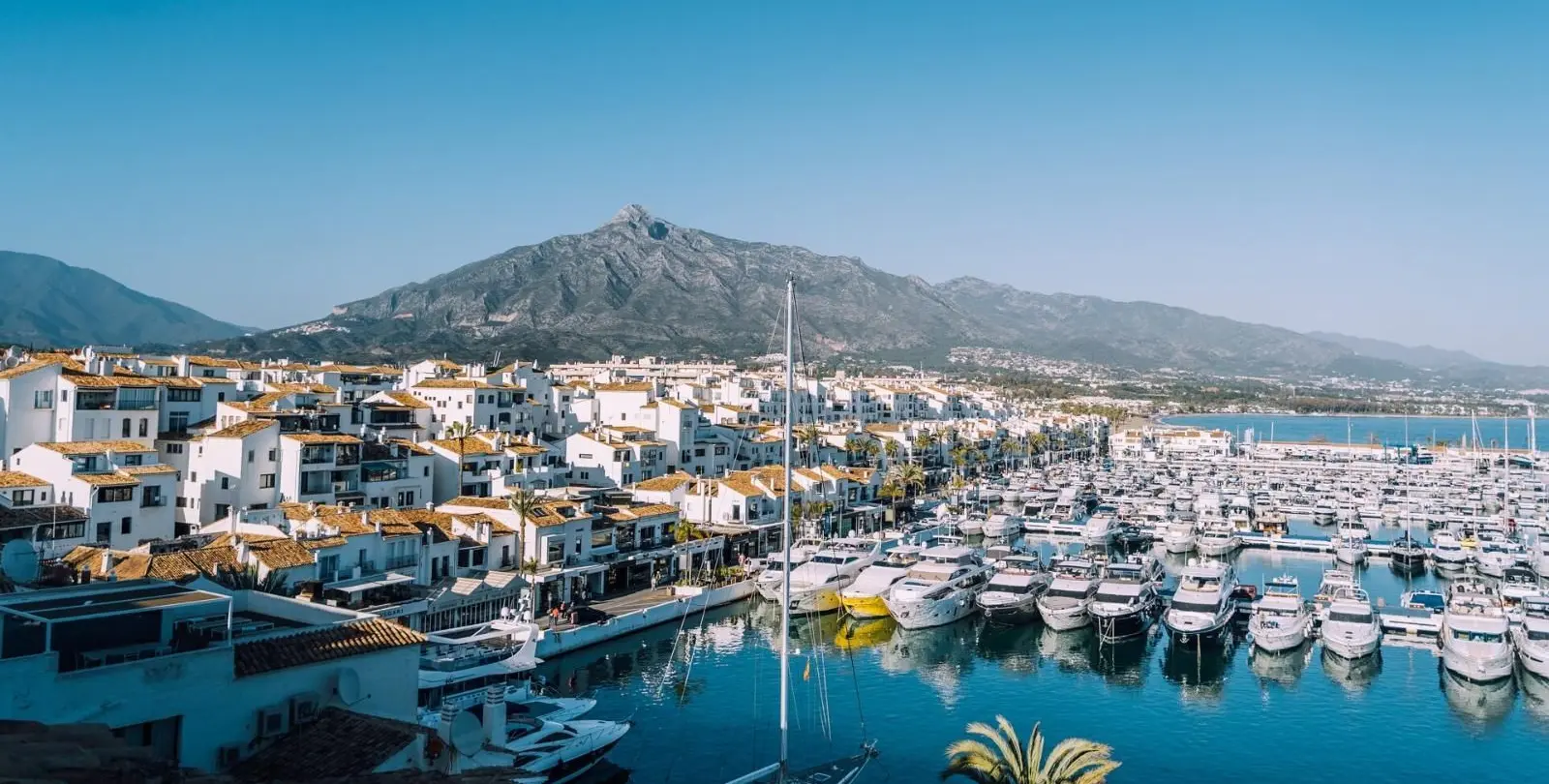 Долгосрочная аренда  отдельно стоящей виллы в Nueva Andalucía 20