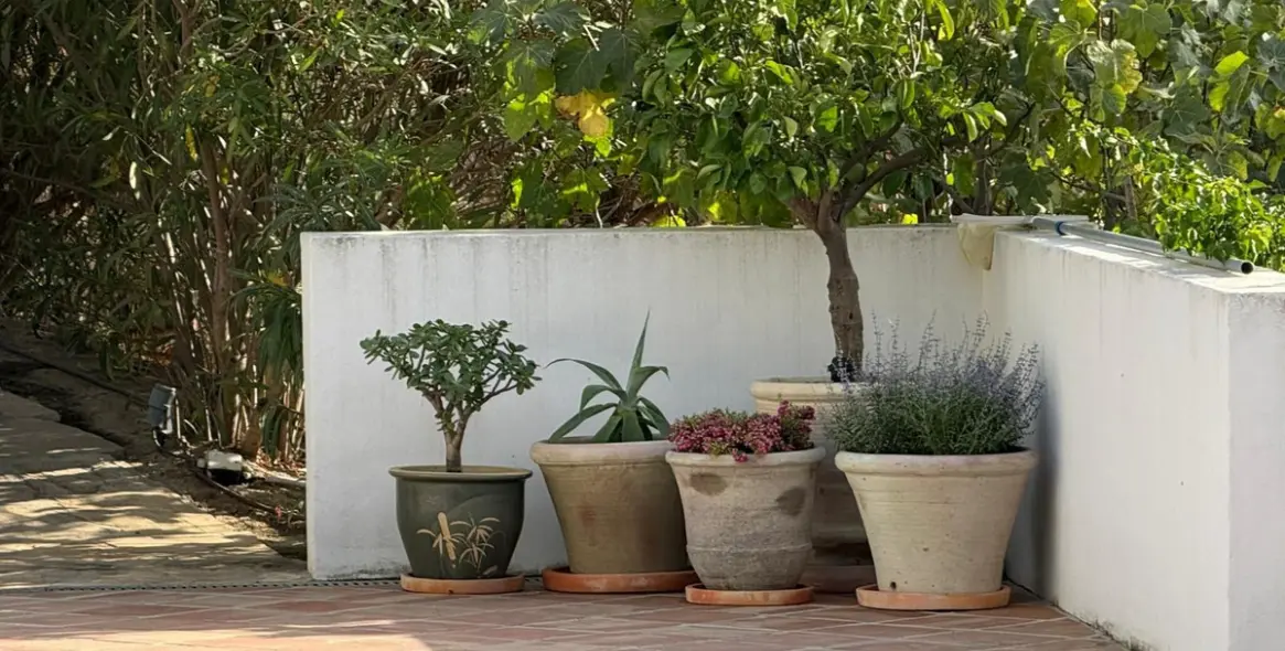 Venta de villa independiente en Mijas 8