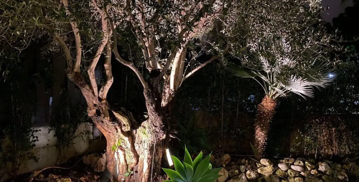 Long-term rent of detached villa in The Golden Mile 25