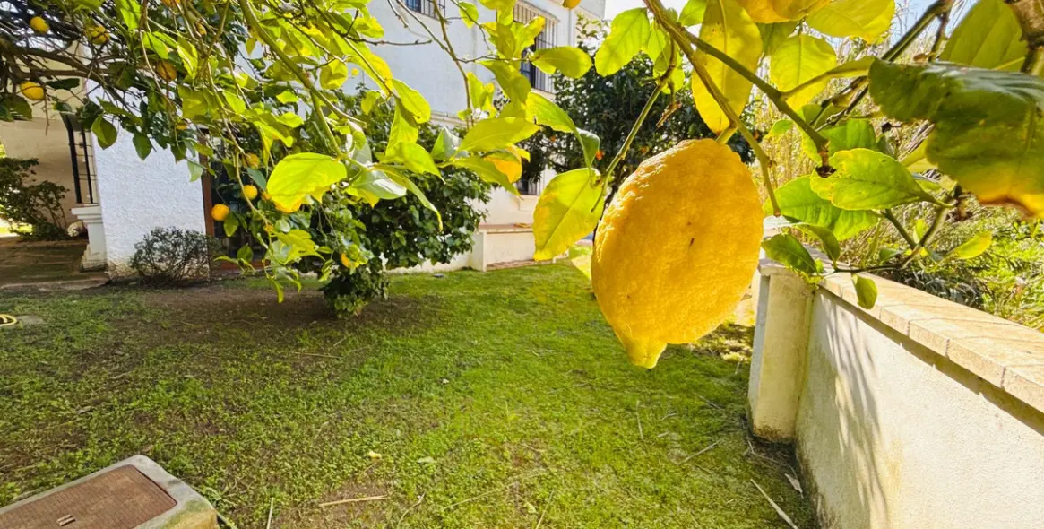 Venta de villa independiente en El Rosario 16