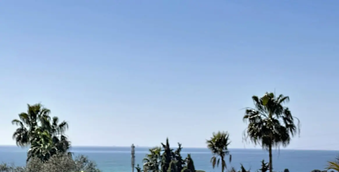 Sale of detached villa in Nagüeles 82