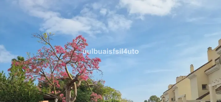 Short-term rent of townhouse in Nueva Andalucía 2