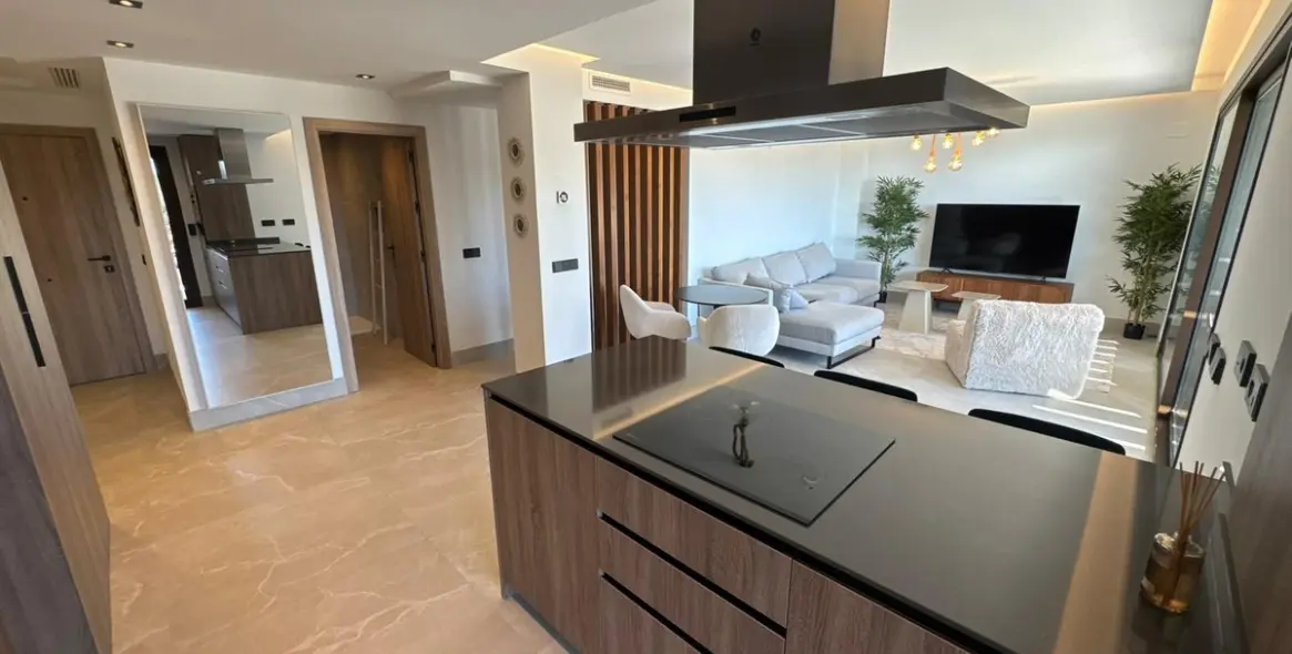 Долгосрочная аренда пентхауса в Istán 12