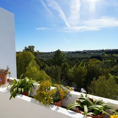 Sale of middle floor apartment in Guadalmina Alta