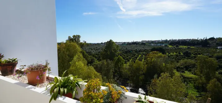 Sale of middle floor apartment in Guadalmina Alta 4