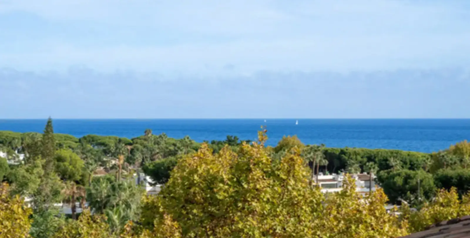 Sale of penthouse in The Golden Mile 13