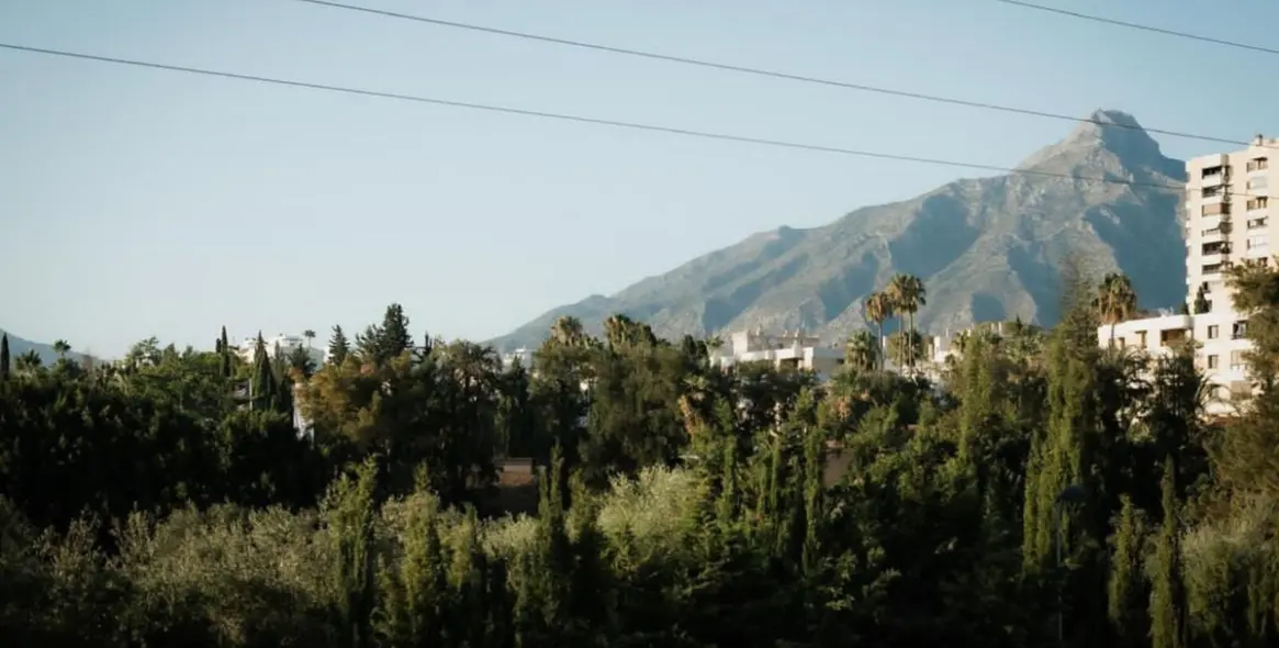 Sale of restaurant in Nueva Andalucía 8