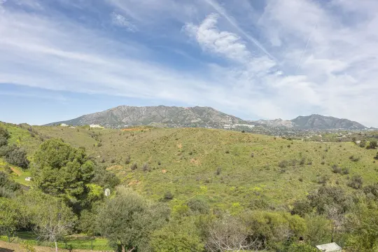 Image 87 thumb