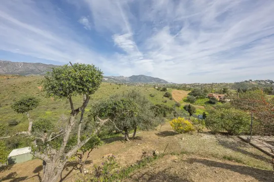 Image 96 thumb