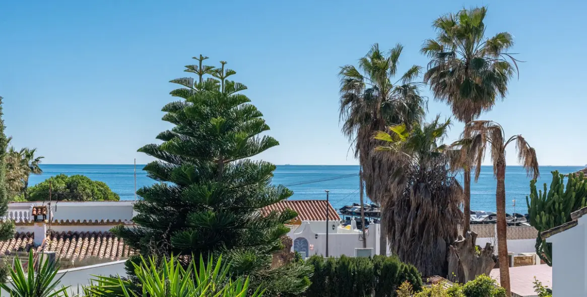 Продажа  отдельно стоящей виллы в San Pedro de Alcántara 2