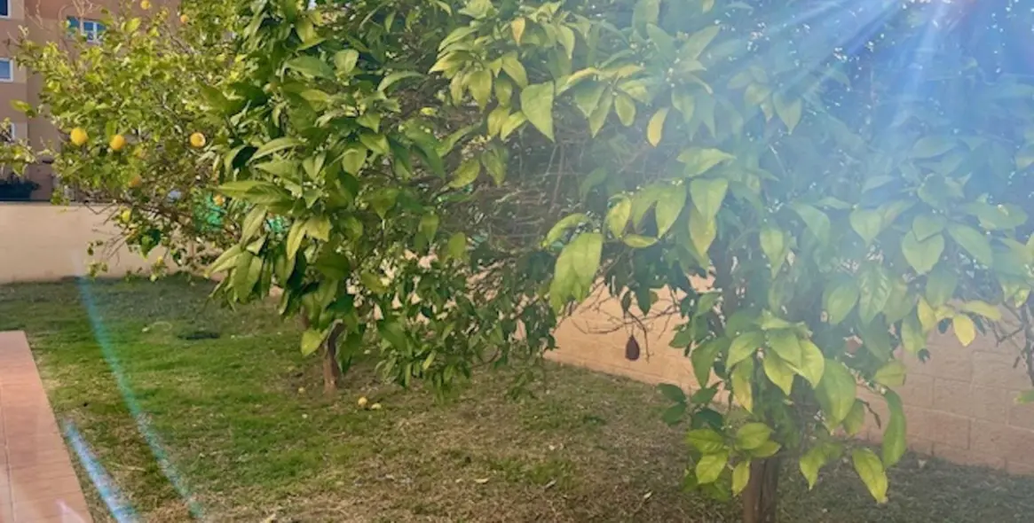 Продажа апартаментов на первом этаже в Estepona 10