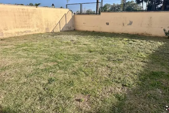 Image 5 thumb