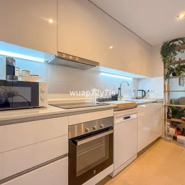 Long-term rent of ground floor apartment in Selwo