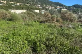 Image 4 thumb