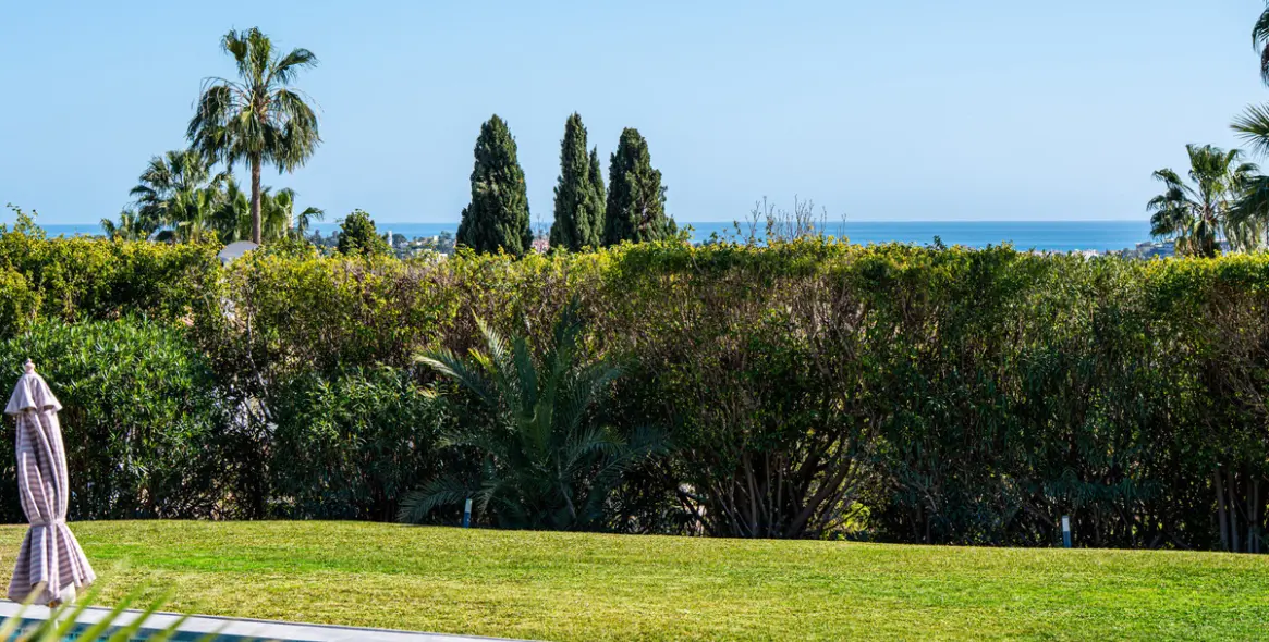 Short-term rent of detached villa in Nueva Andalucía 42