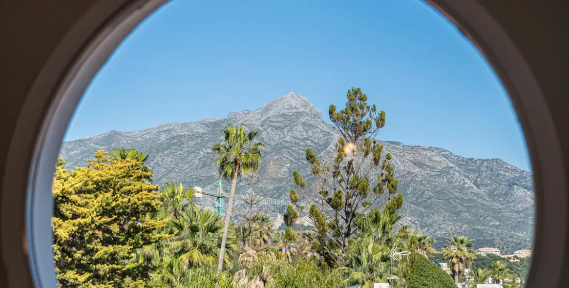 Short-term rent of detached villa in Nueva Andalucía 48