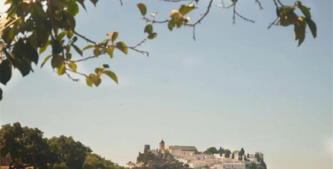 Sale of finca - cortijo in Casares 1