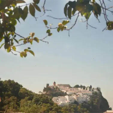 Venta de finca - cortijo en Casares