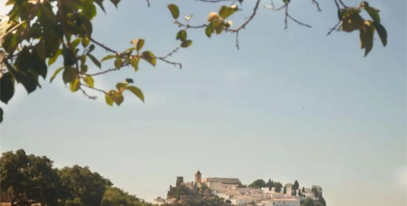 Sale of finca - cortijo in Casares 1
