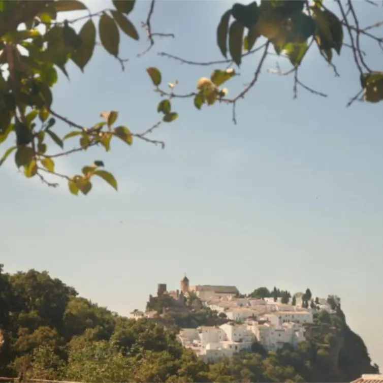 Sale of finca - cortijo in Casares