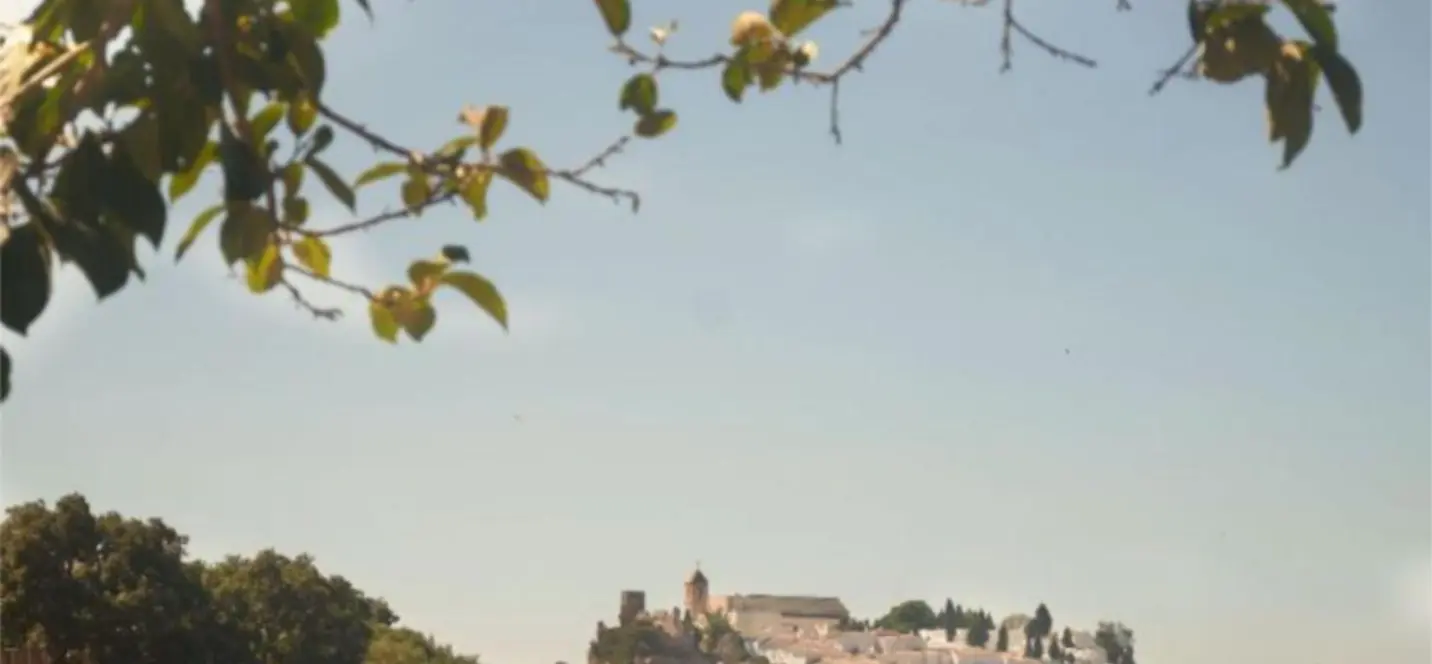 Sale of finca - cortijo in Casares 0