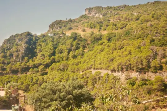 Image 6 thumb