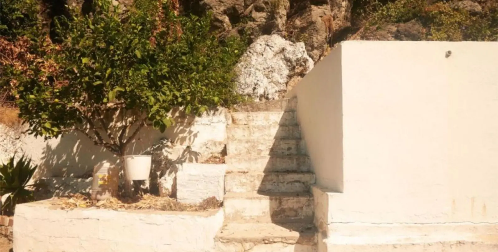 Sale of finca - cortijo in Casares 8