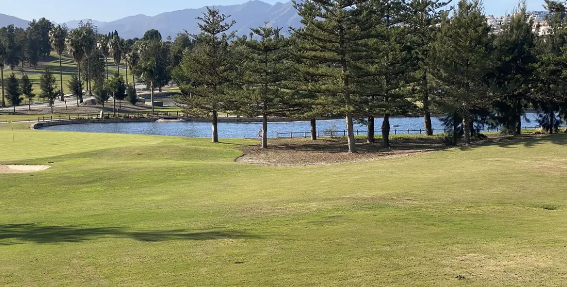 Sale of penthouse in Mijas 28