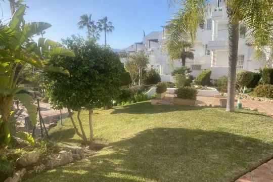 Image 4 thumb