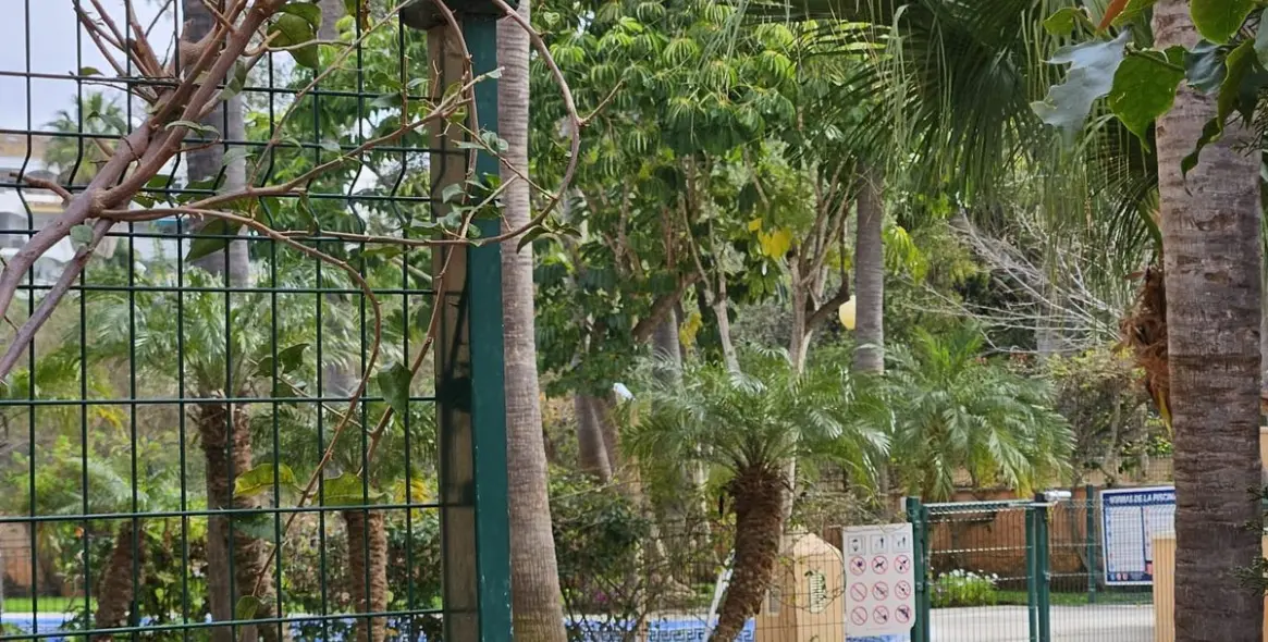 Sale of ground floor apartment in Las Chapas 14