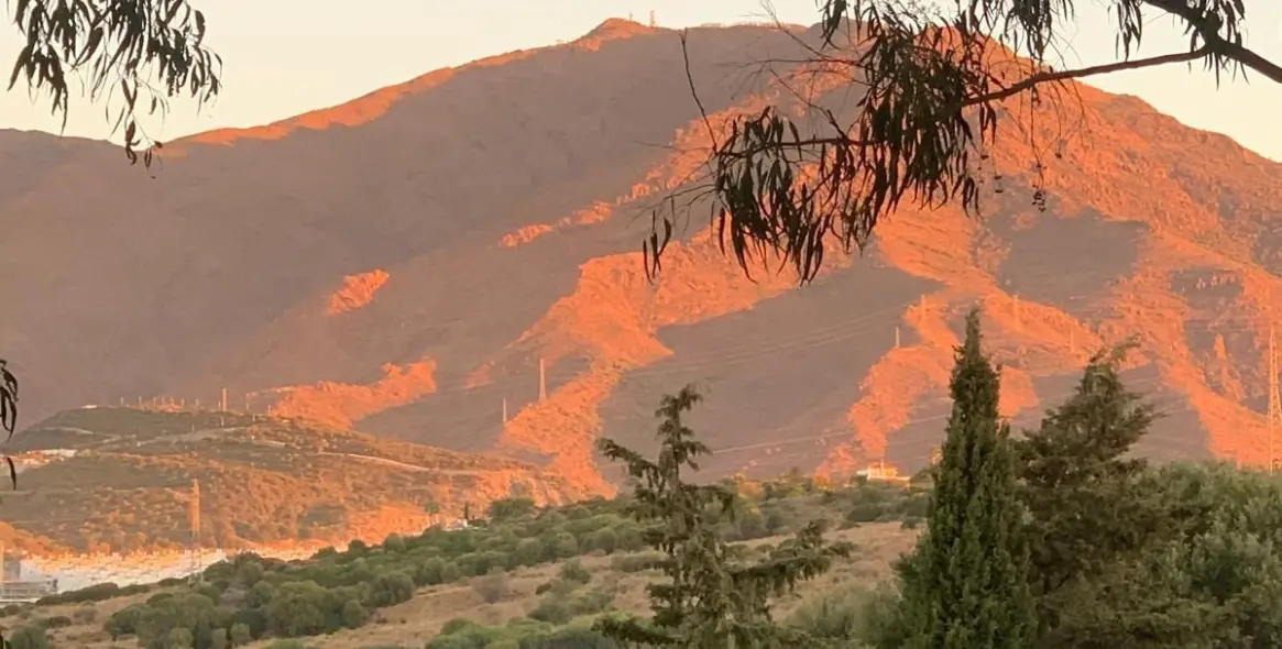 Sale of ground floor apartment in Estepona 13