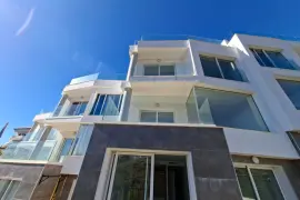 Image 4 thumb