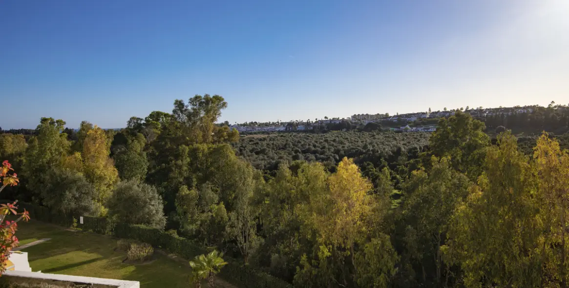 Sale of middle floor apartment in Guadalmina Alta 16