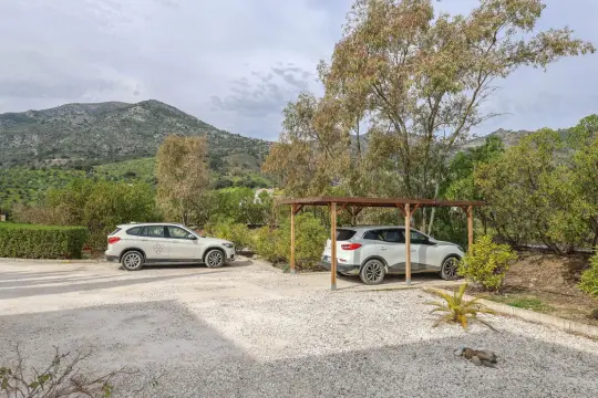 Image 50 thumb