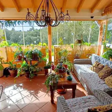 Sale of ground floor apartment in Elviria