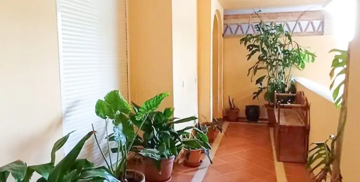 Sale of ground floor apartment in Elviria 10