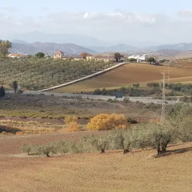 Venta de parcela residencial en Colmenar