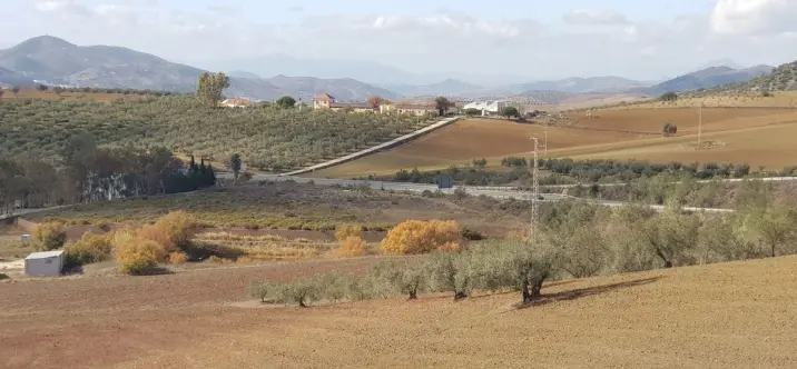 Venta de parcela residencial en Colmenar 0