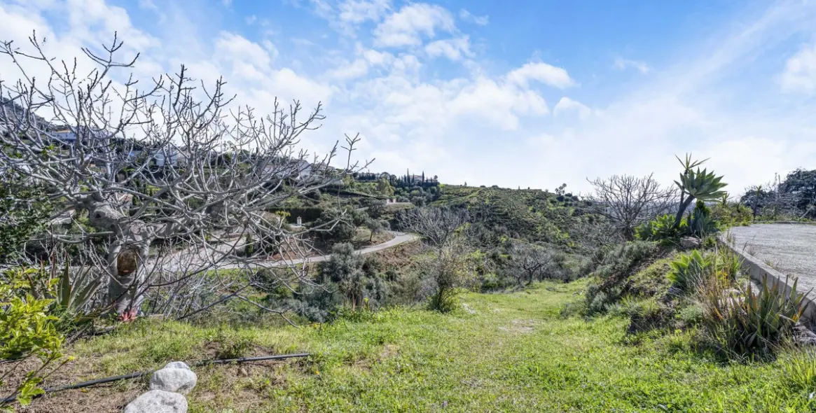 Sale of finca - cortijo in Campo Mijas 20