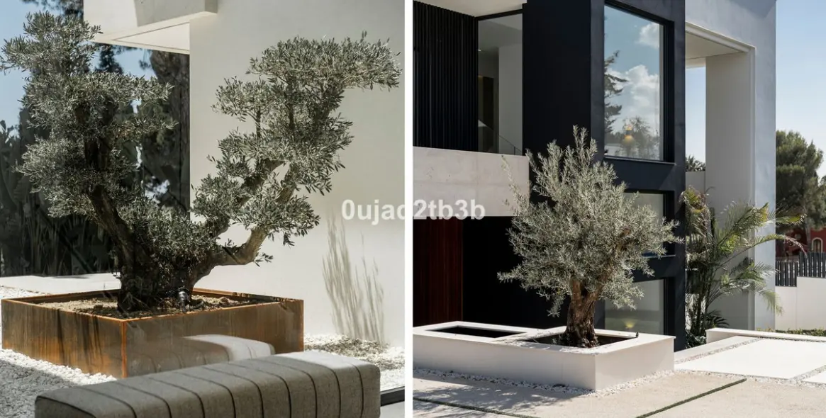 Продажа  отдельно стоящей виллы в Nagüeles 13