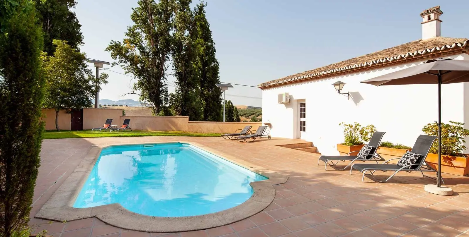 Venta de finca - cortijo en Serrato 11