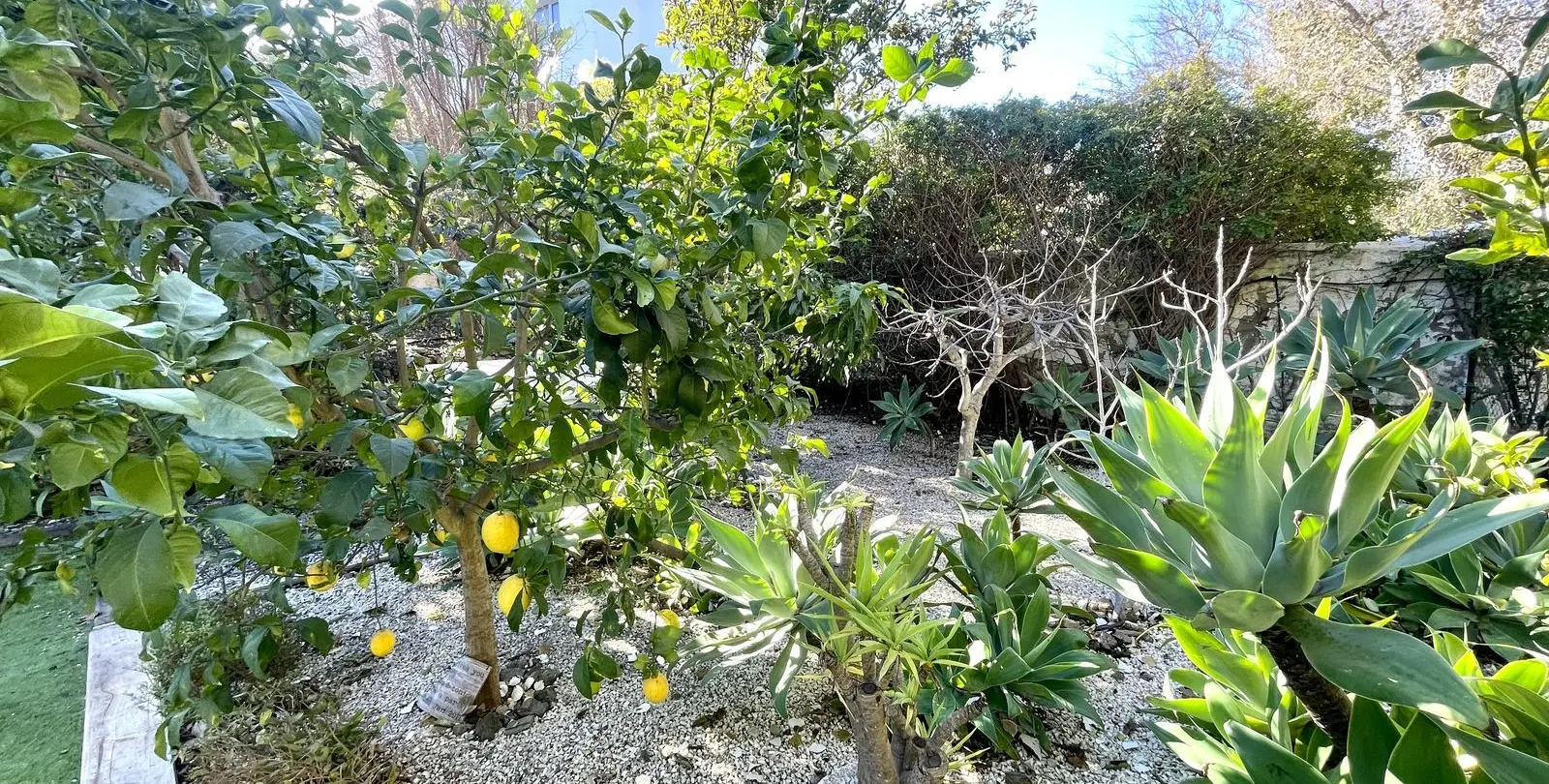 Sale of detached villa in Cerros del Aguila 53
