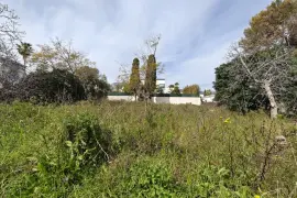 Image 6 thumb