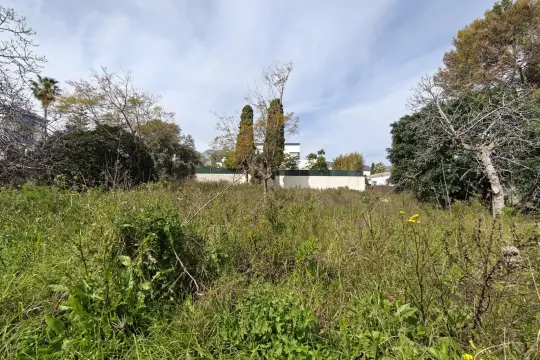 Image 6 thumb