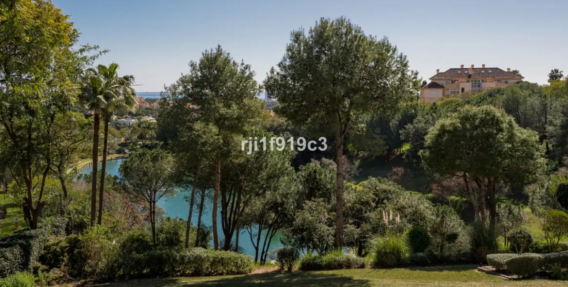Sale of middle floor apartment in Elviria 2