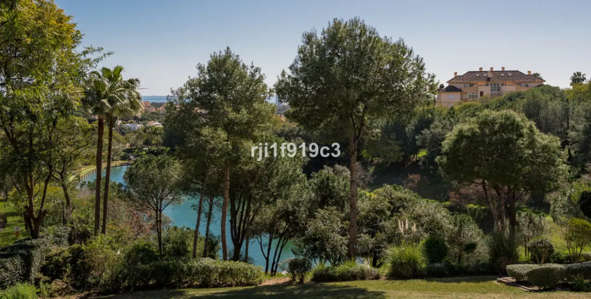 Sale of middle floor apartment in Elviria 2