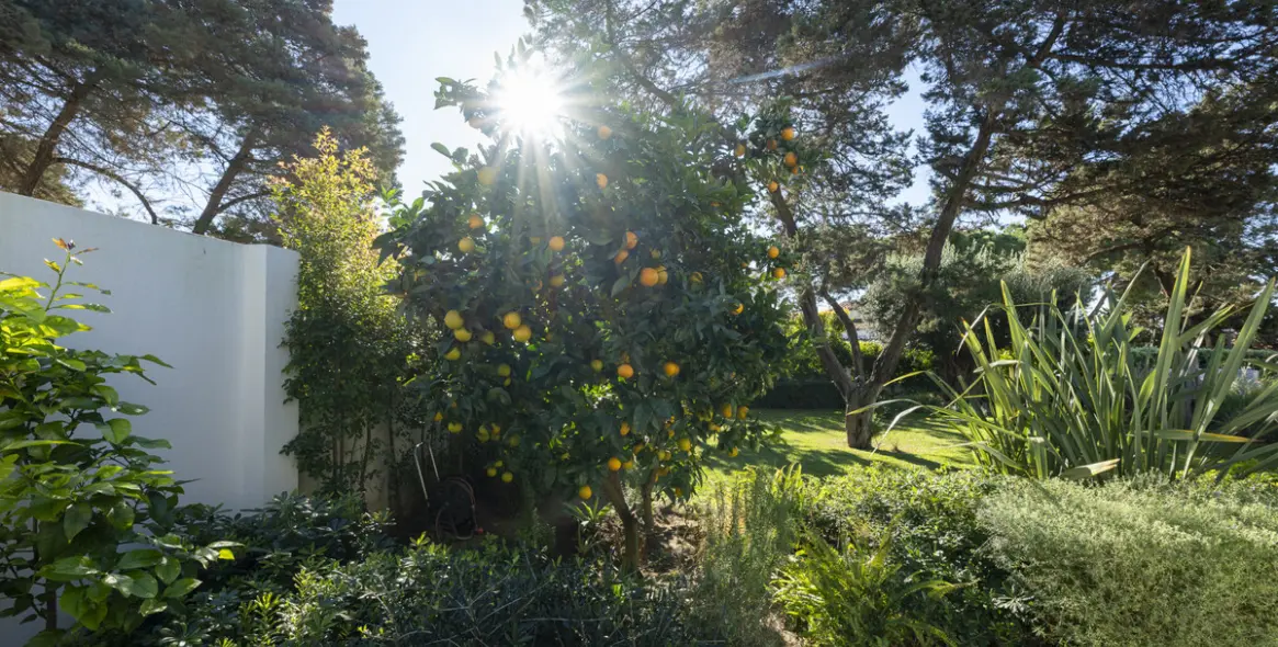 Venta de villa independiente en Marbesa 14